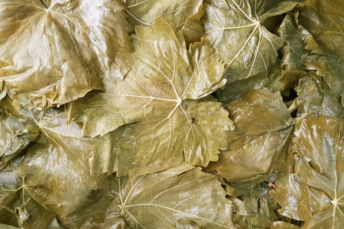 %d7%a2%d7%9c%d7%99%d7%9d